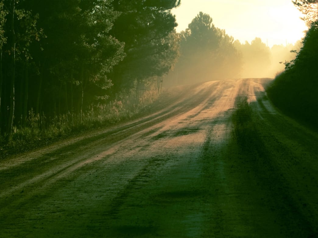 Magnolia Road Trail Run