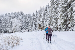Nordic Skiing near Salida Colorado