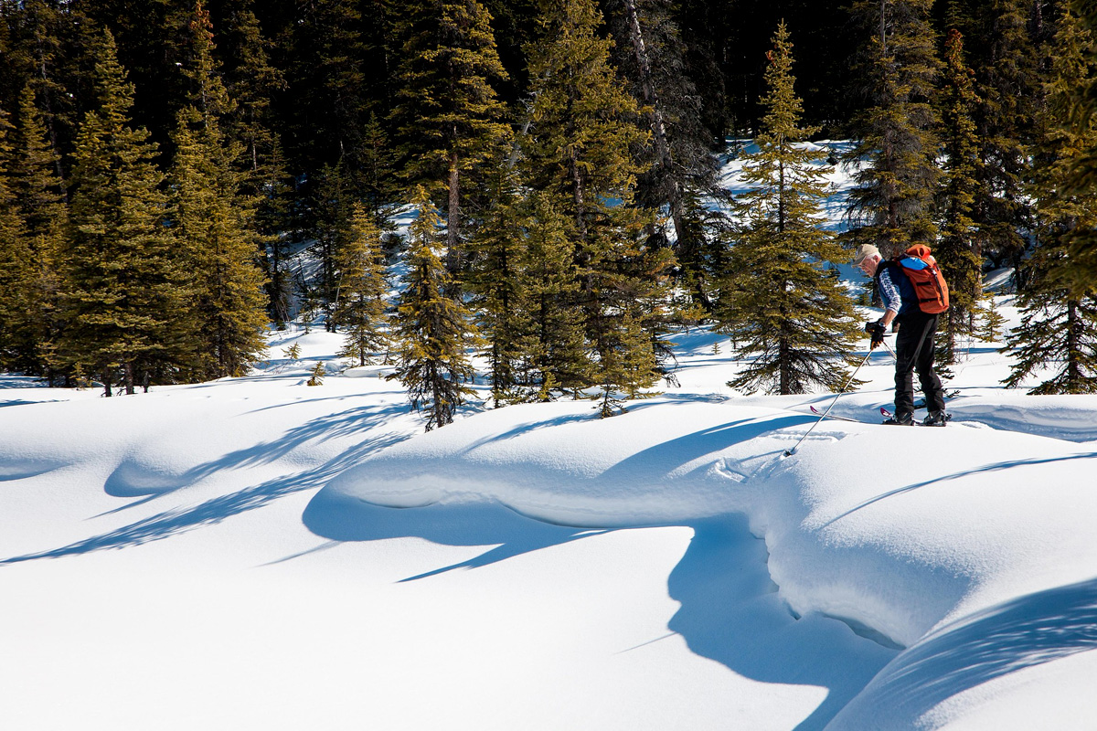 Experiences-Cross-Country-Skiing2 Cross country skiing on Monarch Pass near Salida Co