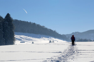 Snowshoeing on Boss Lake outside Salida, Colorado