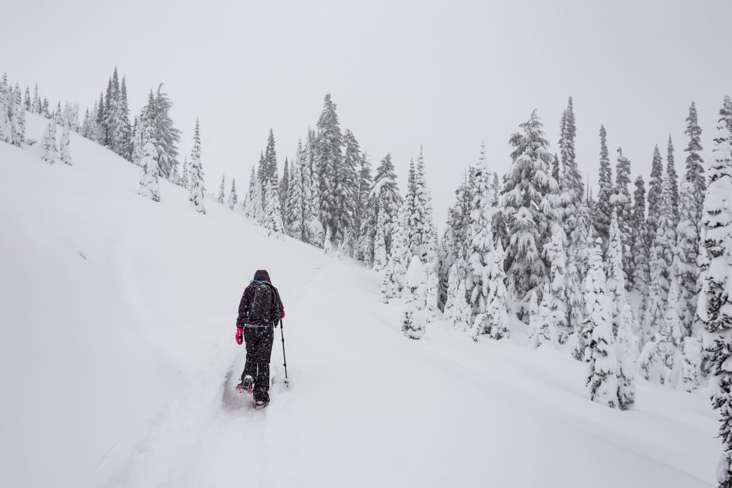 A Tour of the Snowiest Places in America