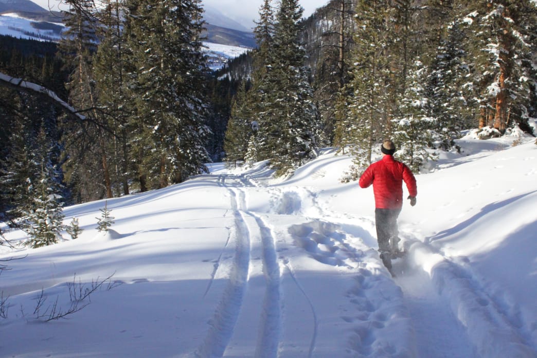 6 Expert Tips for Getting into the Wonderful World of Snowshoe Racing